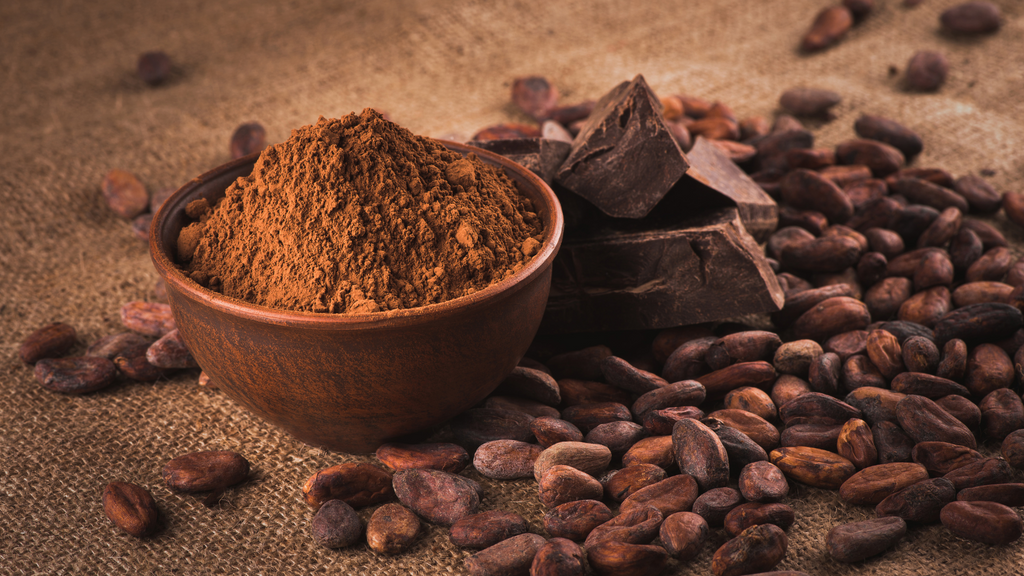 Cacao Paste Ceremonial 100% Pure Cacao